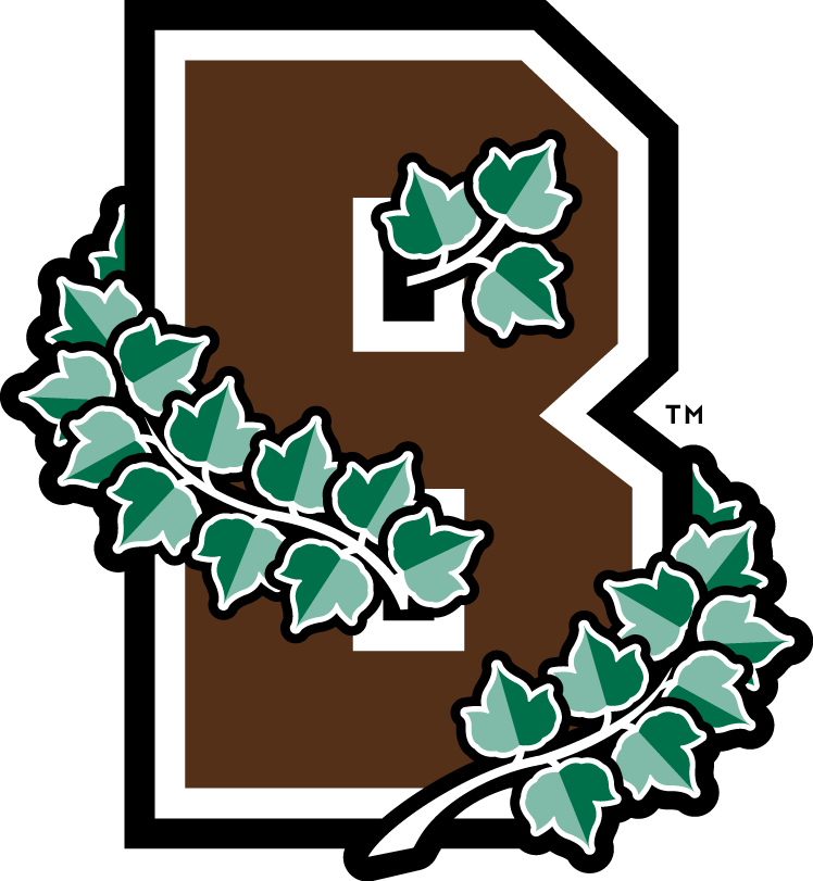 Brown Bears 2003-Pres Alternate Logo iron on paper